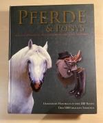 Pferde & Ponys