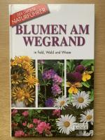 Maria Teresa Della Beffa: Blumen am Wegr Maria Teresa Della Beffa: Blumen am Wegr