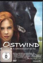 DVD Konvolut im Block > Kinder & Jugendfilme ab 6 Jahre &12 Jahre Total 10 Stück..Die Croods, Ostwind, Kindsköpfe usw.