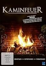 Kaminfeuer 2013