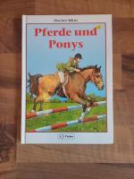 Pferde und Ponys