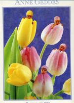 Puzzle 900 Teile Tulpenbabys