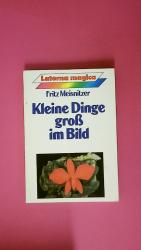 Fritz Meisnitzer: KLEINE DINGE GROSS IM Fritz Meisnitzer: KLEINE DINGE GROSS IM