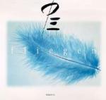 Fliegen (3-Track-CD)