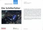 Die Schillerfalter - Apatura iris, A. ilia, A. metis