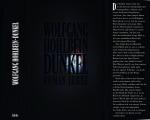 Wolfgang Hohlbein ***DUNKEL*** Die Schatten der Nacht lauern nicht nur in düsteren Katakomben, sondern auch in den modernen Glaspalästen*** Wir glauben nicht an Vampire??*** Geb.Buch/HC mit Schutzumschlag von 1999, Lübbe Verlag, 448 Seiten. Sehr gut erhalten, wie NEU.