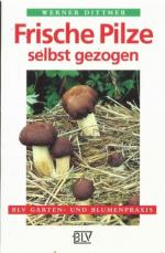 Frische Pilze selbst gezogen