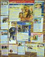 Queen Latifah (Haus über Kopf, Noch einmal Ferien, New York Taxi, Girls Trip, Just Wright, End of the Road, The Equalizer; Schauspielerin / actress): klein Zeitschriftenclippings, Programmhinweise, Zeitschriftenclippings, Clippings, Ausverkauf !!