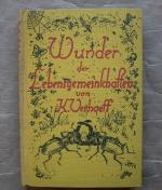 Wunder der Lebensgemeinschaften. [Wanderungen durch die Wunder der Lebensgemeinschaft.]