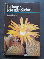 Lithops, lebende Steine