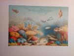 Haeckel Ernst: Arabische Korallen