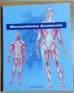 Menschliche Anatomie