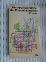 Der Ruinenbaumeister - Roman