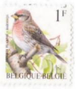 Briefmarke Belgien: Vogel Sizerin Flammé - Barmsijs, 1F, 1992 #17