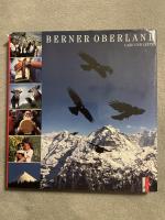 Marcus Gyger: Berner Oberland