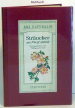 Sträucher am Wegesrand