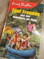 Sarah Bosse: Fünf Freunde und das Ungehe