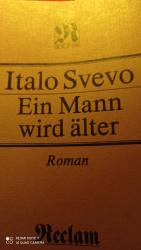 Ein Mann wird älter - Roman