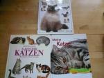 3 x Katzenbücher Sachbücher Erziehung, Pflege, Rassen usw.