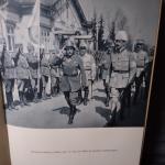 August Beranek: Mannerheim . Mit einem V