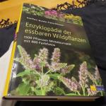 Enzyklopädie der essbaren Wildpflanzen - 1500 Pflanzen Mitteleuropas mit 400 Farbfotos