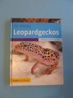 Leopardgeckos (Ihr Hobby) bede bei Ulmer