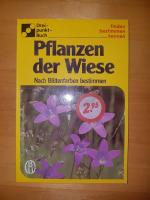 Dorothee Eisenreich: Pflanzen der Wiese 