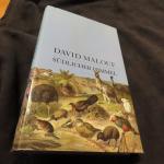 David Malouf: Südlicher Himmel - Erzählu