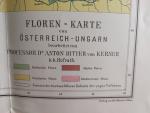 Floren-Karte von Oesterreich-Ungarn