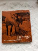 Haflinger im Originalzuchtgebiet Südtirol