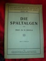 DIE SPALTALGEN 1915