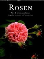 Cruse, Eleonore und Paul Starosta: Rosen