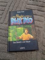 Stefan Wolf: Der Magier und das Power-Tr