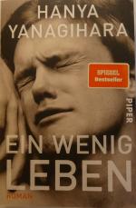 Hanya Yanagihara: Ein wenig Leben - Roma