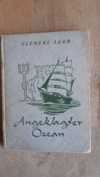 Clemens Laar: Angeklagter Ozean