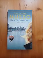 Nacht im Central-Park – Roman