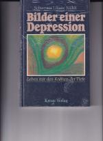 Liliane Juchli: Bilder einer Depression 