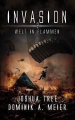 Joshua Tree, Dominik A. Meier: Welt in F