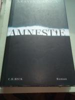 Aravind Adiga: Amnestie – Roman