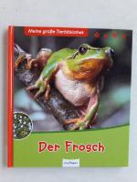 Paul Starosta: Der Frosch, meine große T Paul Starosta: Der Frosch, meine große T