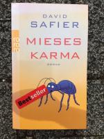 David Safier: Mieses Karma David Safier: Mieses Karma