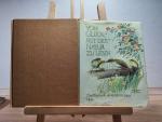 Edith Holden: Vom Glück, mit der Natur z
