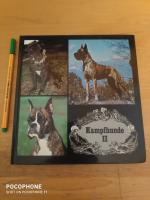 Kampfhunde II