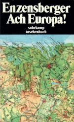Enzensberger, Hans Magnus: Ach Europa! W Enzensberger, Hans Magnus: Ach Europa! W