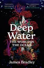 James Bradley: Deep Water