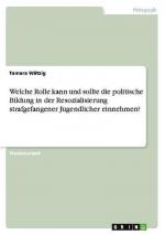 Welche Rolle kann und sollte die politische Bildung in der Resozialisierung strafgefangener Jugendlicher einnehmen?