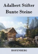 Bunte Steine