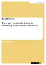 Wie wirken extrinsische Anreize in Verbindung mit intrinsischer Motivation?