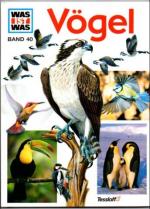 Hoerschelmann, Dr. Heinrich: Vögel. Ein 
