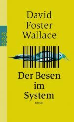 Wallace, David Foster: Der Besen im Syst Wallace, David Foster: Der Besen im Syst